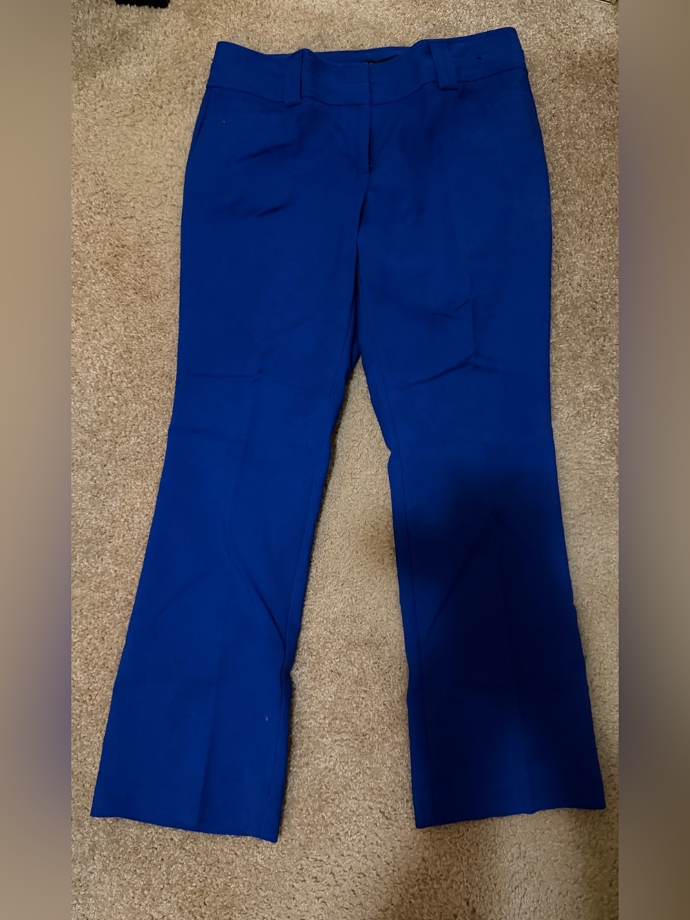 New York & Company Cobalt Blue Bootcut Pants